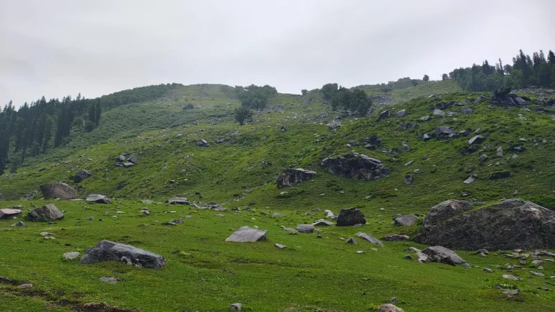 Chika meadows: Rolling green slopes of Chika scattered with boulders under a calm grey sky. | © MountRoutes