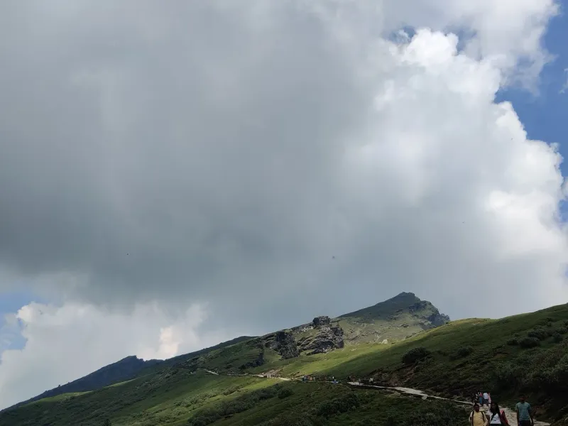 Lush green meadows near Tungnath during summer on the Chopta Chandrashila trek in Uttarakhand. | © MountRoutes