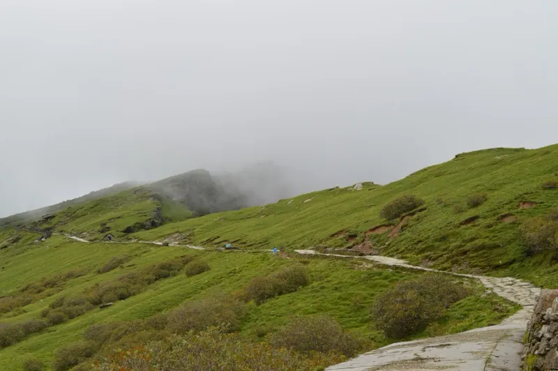 Low clouds and mist creating a mystical atmosphere near Tungnath on the Chopta Chandrashila route. | © MountRoutes