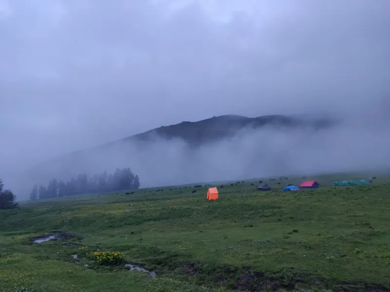 Mystical vibes as the fog rolls over the vast meadows of Dayara Thatch. | © MountRoutes