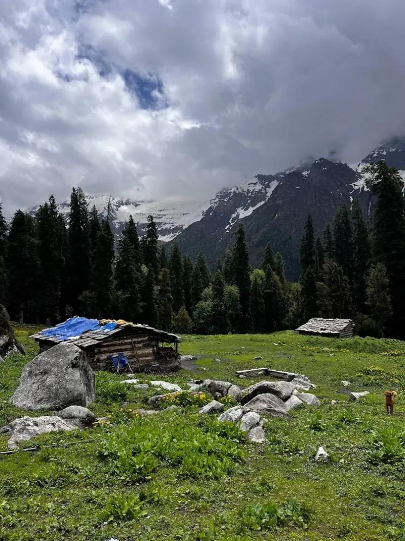 Starlit nights and mountain dreams at our campsite in Simar Thatch. | © MountRoutes