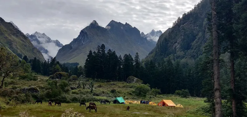 Thanga campsite offers expansive valley views on the challenging Bali Pass trekking route. | © MountRoutes
