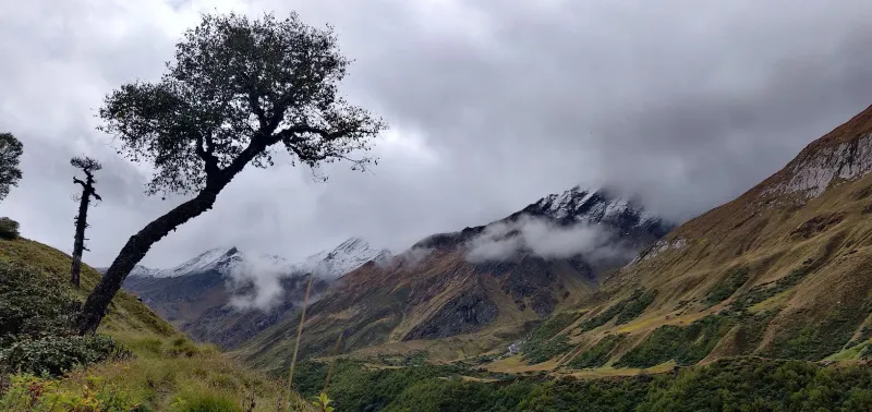 Stunning views from Thanga as the trail gradually climbs toward higher camps on Bali Pass. | © MountRoutes