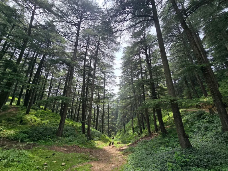 trek photo | © MountRoutes