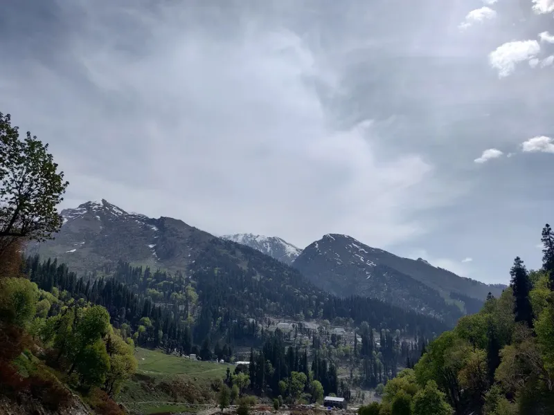 The beginning of the adventure — where the pine forests meet the first signs of the permanent snowline. | © MountRoutes