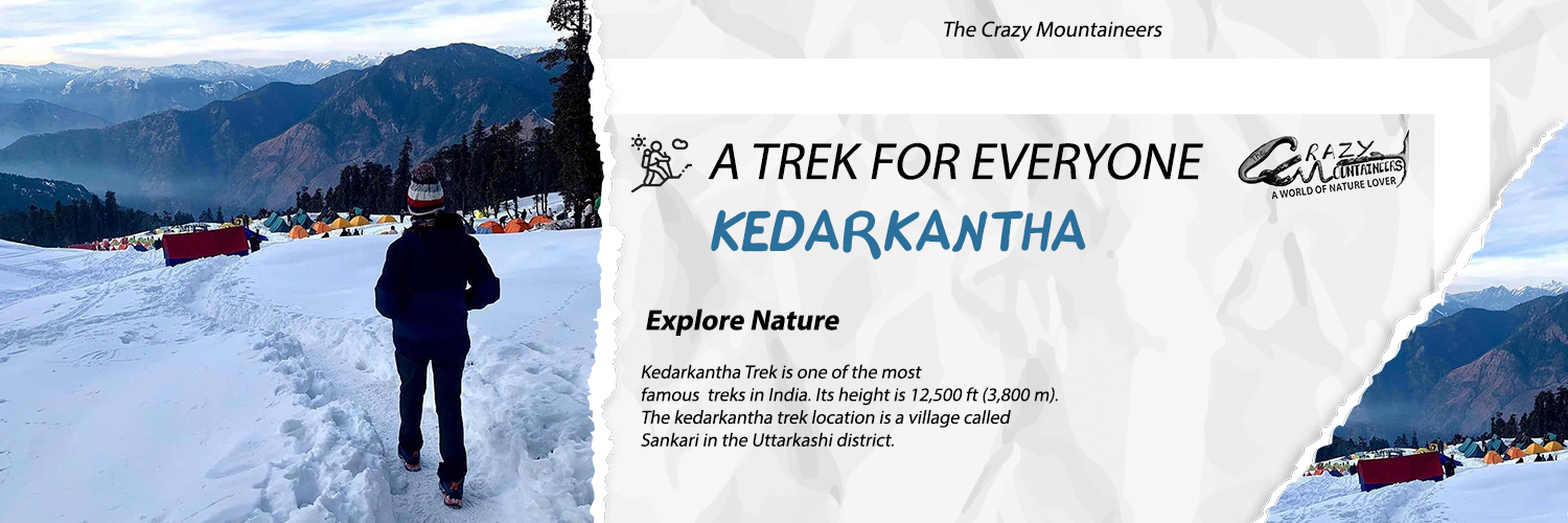 The Crazy Mountaineers Cover